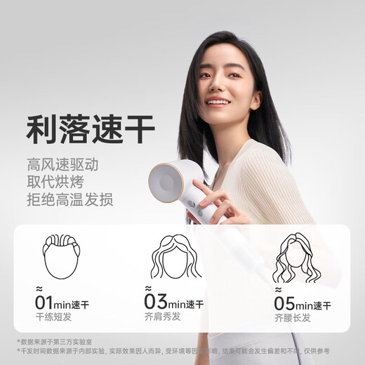 Laifen SE household high-speed hair dryer high-power quick-drying low-noise hair dryer strong wind does not damage the hair dryer birthday Valentine's Day gift SE light green