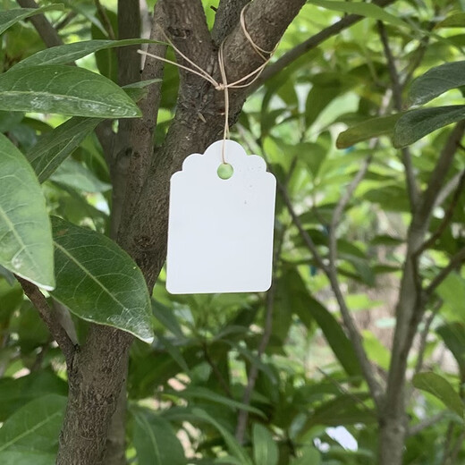 Taipeng plant waterproof tag plastic flower tag gardening tag colorful fruit tree listing seedling tag 7*5cm 200 sheets white