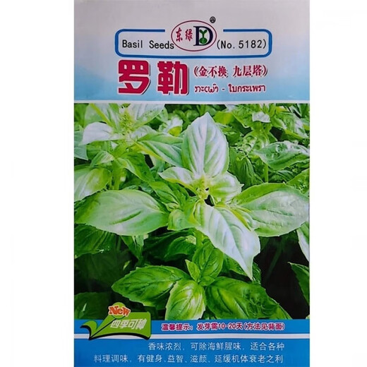 Basil seeds gold does not change potted edible gold does not change seeds Chaoshan nine-story tower high balcony potted plants for spring and autumn sowing Basil gold does not change seeds original 5 packs about 1300 capsules++