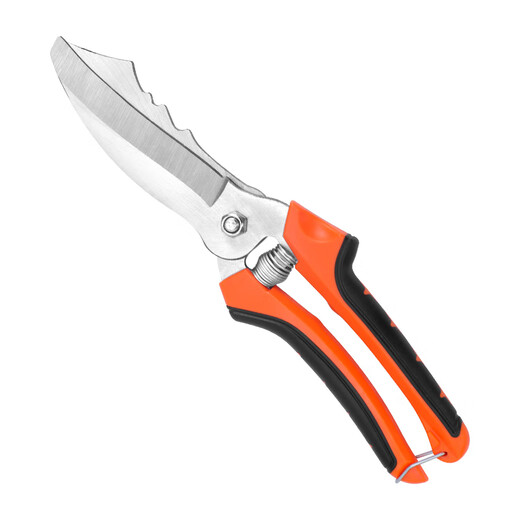 Dedong special garlic scissors for cutting garlic, garlic scissors, garlic scissors, cutting garlic roots, trimming garlic stems, onion segments, onion scissors, special knife for household use, straight-blade garlic scissors