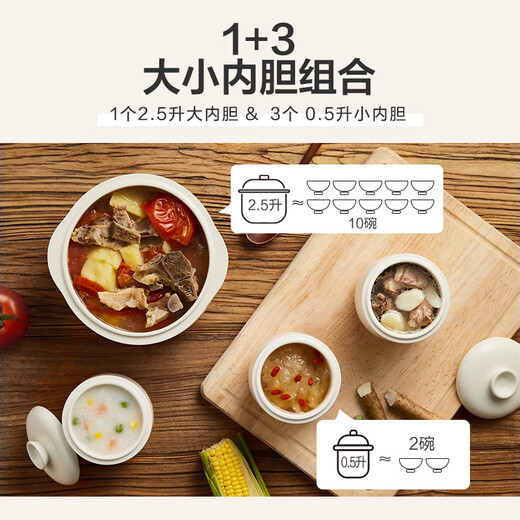 Bear electric stew pot, electric stew pot, waterproof stew pot for 3-4 people, soup pot, bird's nest stew pot, soup pot, soup pot, baby food pot DDZ-C25X6 4L with steamer