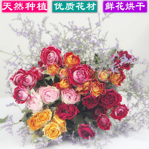 Love Yunnan Natural Rose Dried Flower Bouquet Living Room Decoration Lucky Rose Dried Flower Real Flower Decorative Ornaments Air-dried and Baked Neon + Gold Barbie (Two Bundles)