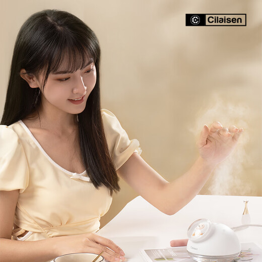 Cilaisen cute pet humidifier mini small home bedroom baby pregnant women office desktop car room air hydration USB portable ivory white plug-in