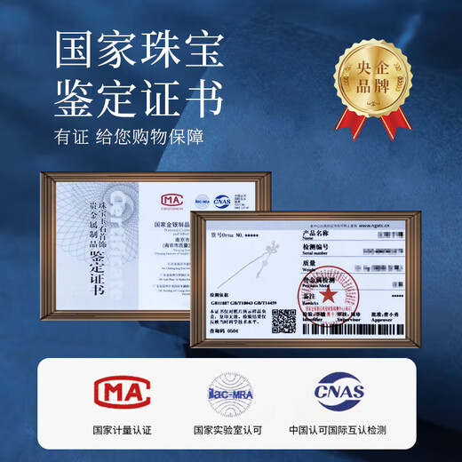 China Gold (CHINA GOLD) sterling silver hairpin for women S925 silver twelve flower gods silver hairpin ancient style hairpin birthday gift for girlfriend and wife January flower god plum blossom hairpin