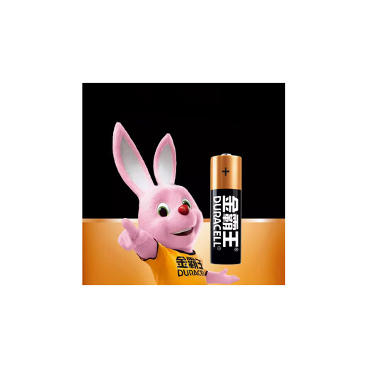 Duracell battery 5# alkaline delivery date 30