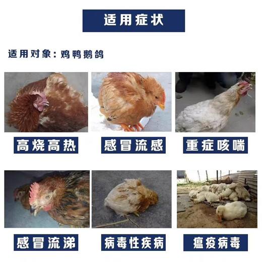 Fast selling veterinary Shuanghuanglian powder chicken, duck, goose, pigeon, poultry, cold and cough, pig, cattle and sheep anti-viral influenza, wind and heat feed additive 1 pack price