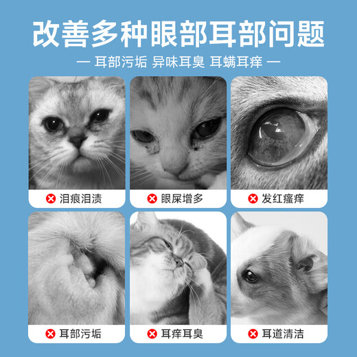 Baidar pet wipes for cats and dogs, special for wiping ear tear stains, white-haired Bichon Teddy Bear short eye and ear wipes, use this for dirty faces, 1 pack of disposable gloves + 1 box of eye and ear wipes