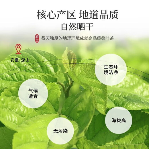 Chen Yifan Té de hoja de moras seleccionada Hojas de morera fresca frita después de otoño e helada de invierno, 150 g de té de salud para wolfberry empapado en agua