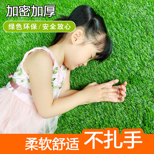 Kaosen Green Carpet Outdoor Terrace Simulated Lawn Roof Sunscreen Insulation Artificial False Turf Enclosure Project Toddler 2cm Spring Grass Thickened Extra Dense Black Bottom