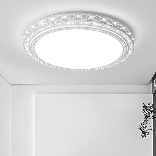 佲伙2024新款吸顶灯led大尺寸客厅灯简约现代卧室灯圆形超亮大厅灯具 直径60CM高亮白光48瓦
