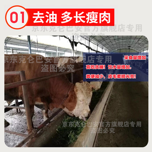 Kelunbaan 2% cattle and sheep premix fattening beef cattle fattening feed calf fattening beef cattle and sheep skeleton breeding cows