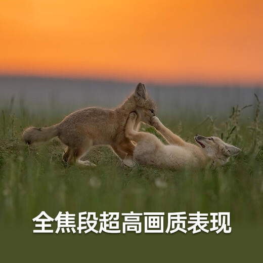 SIGMA 150-600mm F5-6.3 DG DN OS Sports full-frame mirrorless super telephoto zoom lens for bird shooting and lotus shooting (Sony mount)