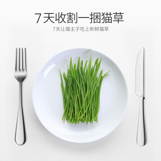 Greedy Horse Cat Grass Seeds Cat Mint Hair Removal Balls Cat Snacks Teeth Cleansing Cat Grass Hydroponic Seeds Cat Grass DIY Nutritional Soil Bags*3