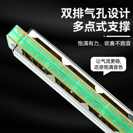天鹅口琴初学者入门24孔复音C调小学生专用儿童成人专业重音正品 24孔【初学】蓝色C调复音+礼