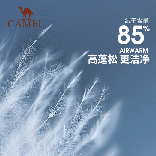 Camel (CAMEL) three-proof down jacket three-in-one oil-proof and waterproof lightweight ski jacket for men Biaoran A13CA3a1099