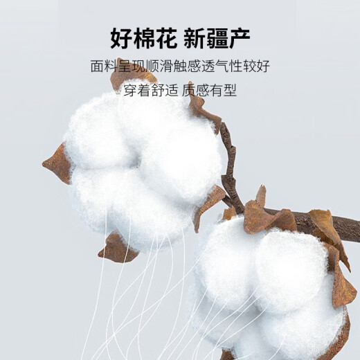 南极人衬衫男 纯色长袖商务衬衫男士棉质舒适衬衣外套修身西装白衬衫男L