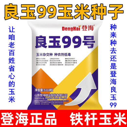 New species in stock original Liangyu 99 corn seeds disease-resistant and temperature-resistant Shandong Denghai Liangyu 99 hardcore corn big cob New species Denghai Liangyu 99 5118 grains x1 bag