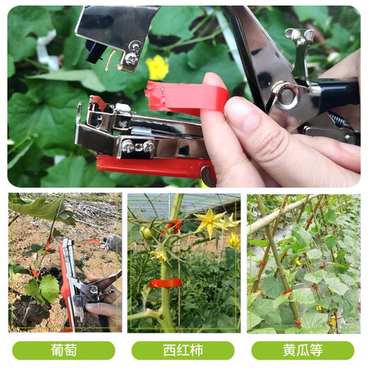 坤匠 新款合金钢绑枝机葡萄番茄西红柿绑蔓器绑枝神器自动胶带枪农用 【不卡针】合金钢绑枝机+20卷加厚胶带+1万钉