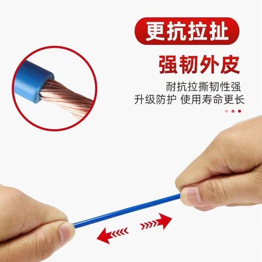 ZJDX Pearl River Wire 2,5 Norme Nationale 4 mètres carrés décoration de la Maison Fil BVR 1,5 6 10 Fil Domestique en cuivre Pur ignifuge Multibrins Rouge Norme Nationale cuivre Pur 2,5 mètres carrés - 100 mètres Assez