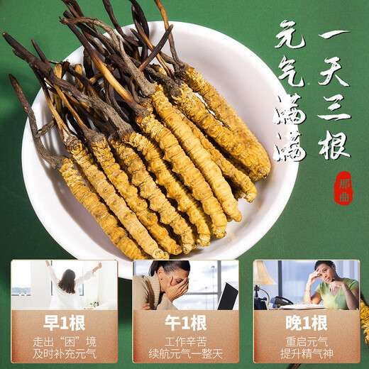 Shengdikangzang [Regalo festivo] Cordyceps salvaje sinensis en Nagqu Nagqu Nagqu Cordyceps Caja de regalo seleccionada 2 piezas/gramos 10 gramos