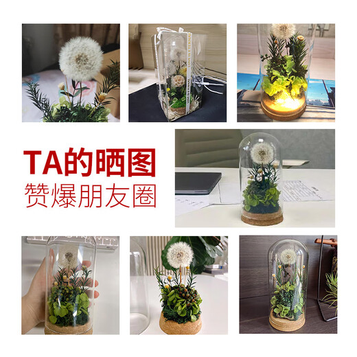 RoseBox dandelion eternal flower birthday gift anniversary gift for female friends, senior besties, niche senior wedding anniversary