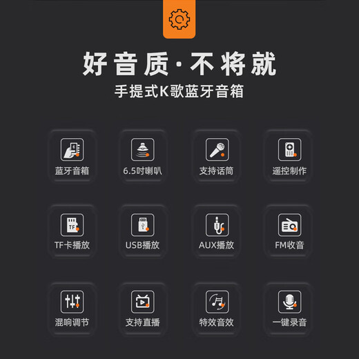 SANSUI Portable portable karaoke audio mobile belt outdoor high-power integrated KTV square dance audio small live broadcast speaker karaoke double wireless microphone stereo sound effect + dual microphone + sound card sound effect