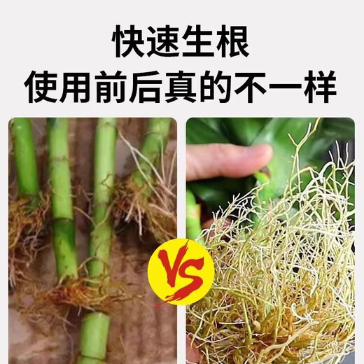 50% indolebutyric acid, indolenaphthalene acetic acid, high concentration rooting agent, rooting powder, seedling transplanting, cuttings, rooting promotion, 6 bags (1g/bag) can be stored for 2 years without opening