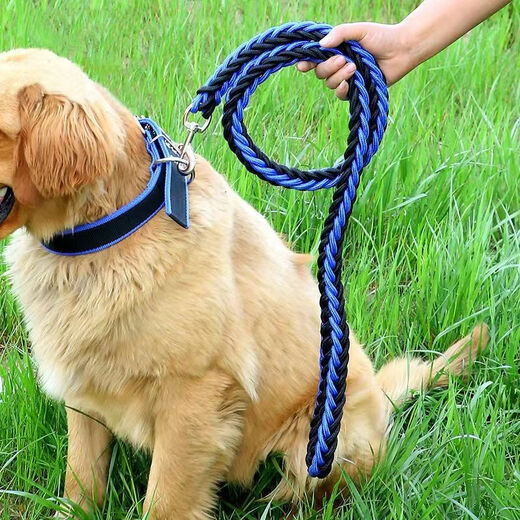 PPO large dog chain big dog leash with dog leash dog collar Alaskan German Shepherd Golden Retriever dog leash leash + snap collar red and black S size 8-15Jin Jin equals 0.5 kg Use