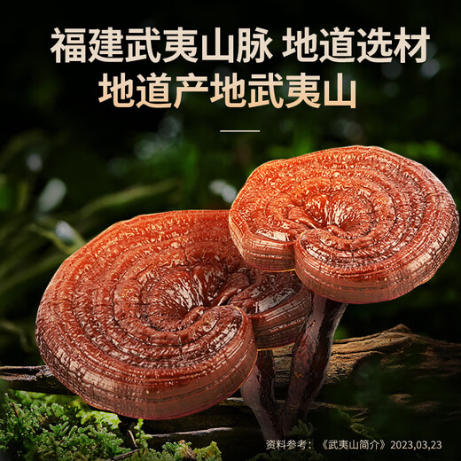 总统北京同仁堂破壁灵芝孢子粉胶囊120粒武夷山原产送长辈价保双十一