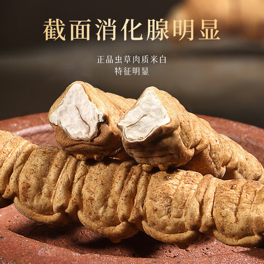 
Nutritional Story Cordyceps sinensis whole grass 4 pieces/g 1 gram about 4 pieces Freeze-dried Cordyceps quality non-dead nutritious supplements