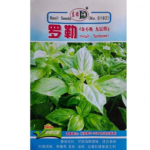 Basil seeds gold does not change potted edible gold does not change seeds Chaoshan nine-story tower high balcony potted plants for spring and autumn sowing Basil gold does not change seeds original 5 packs about 1300 capsules++
