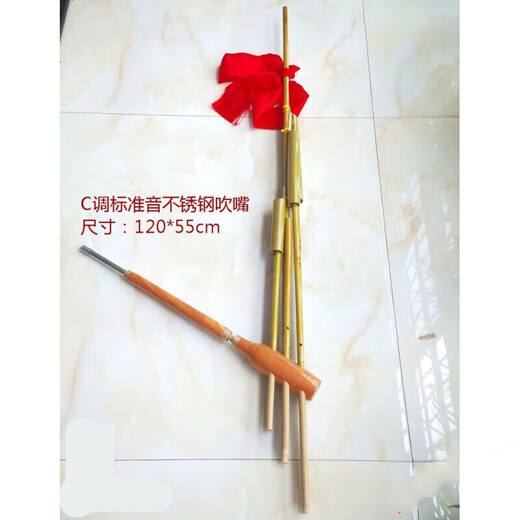 Shanbei Guizhou Miao Lusheng ethnique Bamboo à la main