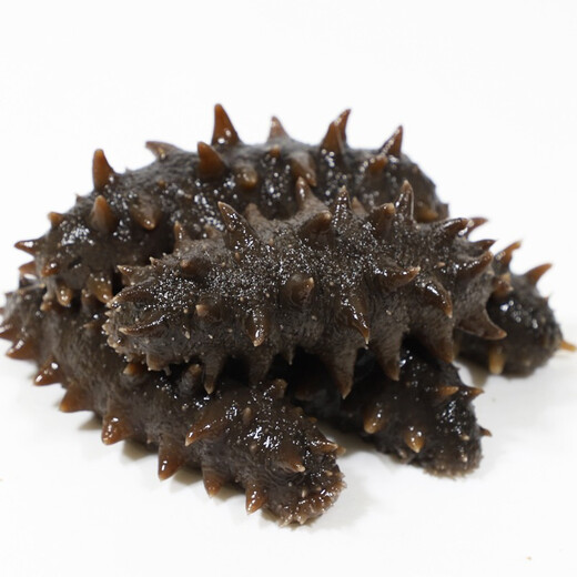 Xiaoqin Dalian ready-to-eat sea cucumbers Liao sea cucumber ready-to-eat seafood aquatic products solids 75% 1500g 24-30 pieces * 2 boxes 6Jin Jin equals 0.5kg gift box