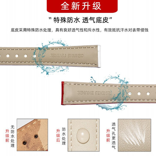 天姵适配卡西欧手表带SHEEN-5010/5023/4019/3019真皮表带女红色表链 白色：玫瑰金色扣 16mm