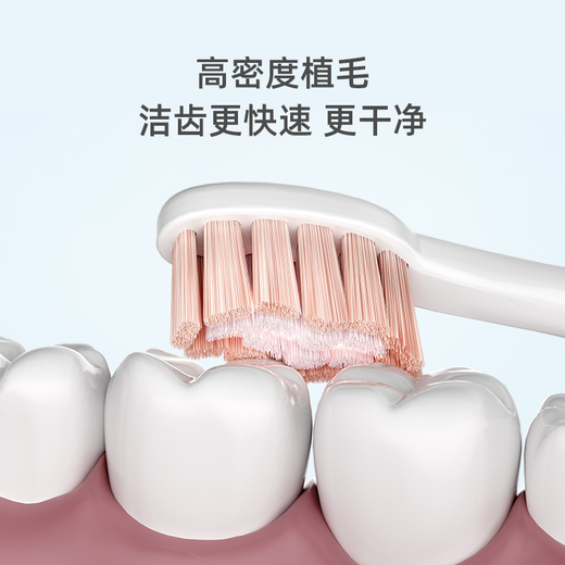 FLYCO electric toothbrush head suitable for FT7105, FT7205 multi-angle cleaning sonic vibration soft bristle brush head 1 Romantic Pink