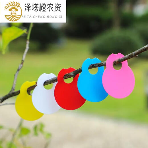 Plant mark mark mark mark watermelon card melon fruit watermelon brand label watermelon brand grape mark thickened grape watermelon card red pink 3000