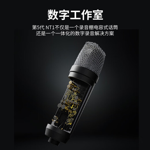 RODE NT1 5TH large diaphragm vocal condenser microphone professional home live broadcast karaoke microphone recording studio internet celebrity anchor computer dubbing recording microphone NT1 5TH condenser microphone (silver model) + DS2 desktop stand