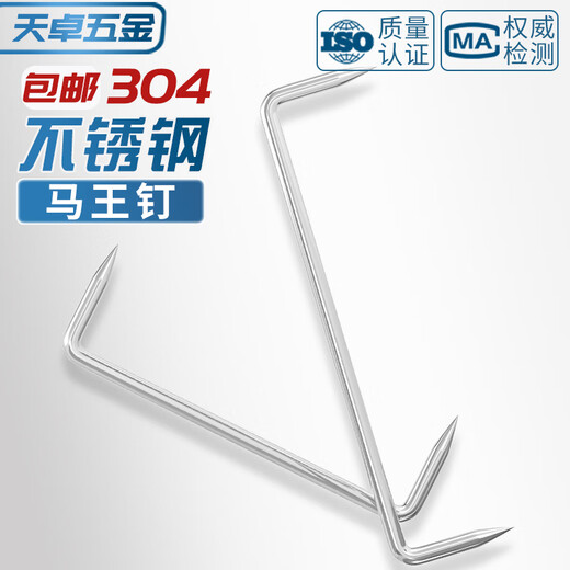 Tianzhuo Hardware 304 stainless steel leech nails/picking nails/curium nails/ship nails/U-shaped saddle nails/construction long iron nails/horse king nails M10*200*60