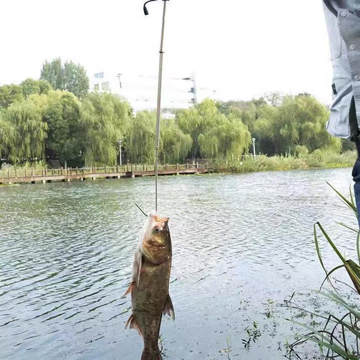 He Jiagong fish hook device, hook-controlled fish, retractable ice fishing anchor, fish hook, boat fishing, sea fishing hook device, fish hook fishing 120cm
