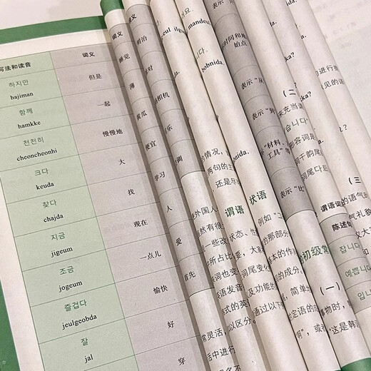 零基础学韩语入门自学教材韩语单词语法书零起点标准韩国语入门学习资料发音词汇语法句子会话基础入门日常生活用语朝鲜语韩文书籍 语韩文书籍