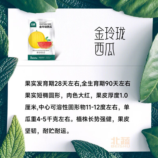 Beishu 8424 Watermelon Seeds Early-maturing Special Melon Fruit Beishu Jinlinglong Watermelon Seeds 20 capsules/bag