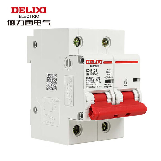 Delixi Electric overload air switch 100a small circuit breaker C-type switch main gate DZ47-125-2P-C100