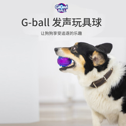 GiGwi Dog Toy Medium Transparent G-Ball Ball Sound Ball Medium-sized Dog Highly Elastic Bite-Resistant Molar Toy Ball Dog Toy Interactive Touring Pet Toy