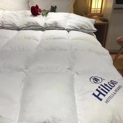 Down quilt 95 white goose down winter quilt thickened and warm student dormitory winter style spring and autumn quilt hotel antibacterial white 180x220cm8Jin Jin equals 0.5kg winter quilt