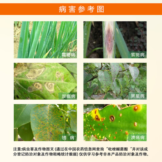 30% pyraclostrobin, pyraclostrobin, onion, ginger, banana, wheat, black star, downy mildew, rust, pesticide and fungicide 500g