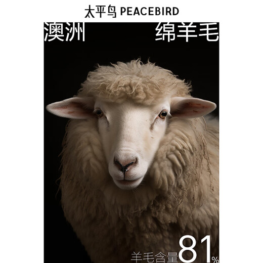 Peacebird men's clothing [wind coat] wool coat men's mid-length winter new double-sided wool coat khaki first batch L