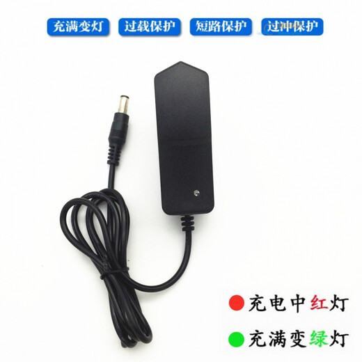 Electric fascia gun charger 24V1A universal 25.2V26V12.6V28V massage gun 16.8V1A charging cable 24V1A large and small holes universal one meter