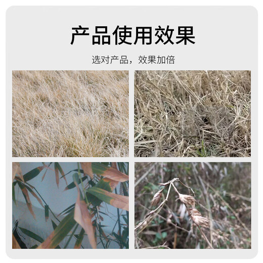 Fanbang Zazhujing 75% cyclazinone herbicide, root rot agent, miscellaneous irrigation medicine, tree root rot agent, large agent, tree death