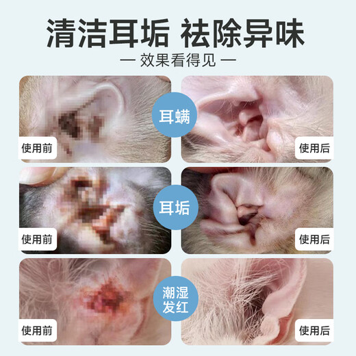 Baidar pet wipes for cats and dogs, special for wiping ear tear stains, white-haired Bichon Teddy Bear short eye and ear wipes, use this for dirty faces, 1 pack of disposable gloves + 1 box of eye and ear wipes