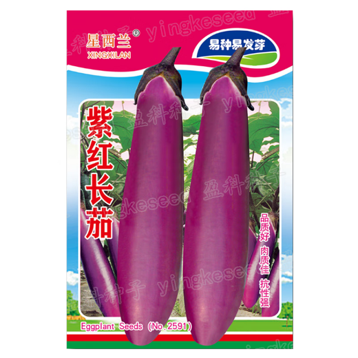 Complete collection of various vegetable seeds for the vegetable garden in all seasons, autumn, coriander, radish, cabbage, tomato, lettuce, green onion, spinach seeds, dark brown, 30 pieces of pepper